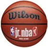 Ballon De Basket Wilson Jr NBA Fam Logo In/Out Ball