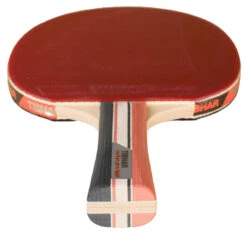 RAQUETTE DE TENNIS DE TABLE EN CLUB CARBON PRO LIGHT 5* 10 RAQUETTE DE TENNIS DE TABLE EN CLUB CARBON PRO LIGHT 5* -Balle Jeux Vêtements Magasin raquette de tennis de table en club carbon pro light 5 3