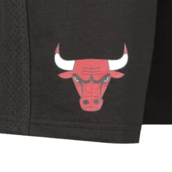 Shorts NBA Chicago Bulls Team Logo Herren NEW ERA -Balle Jeux Vêtements Magasin shorts nba chicago bulls team logo herren new era 2